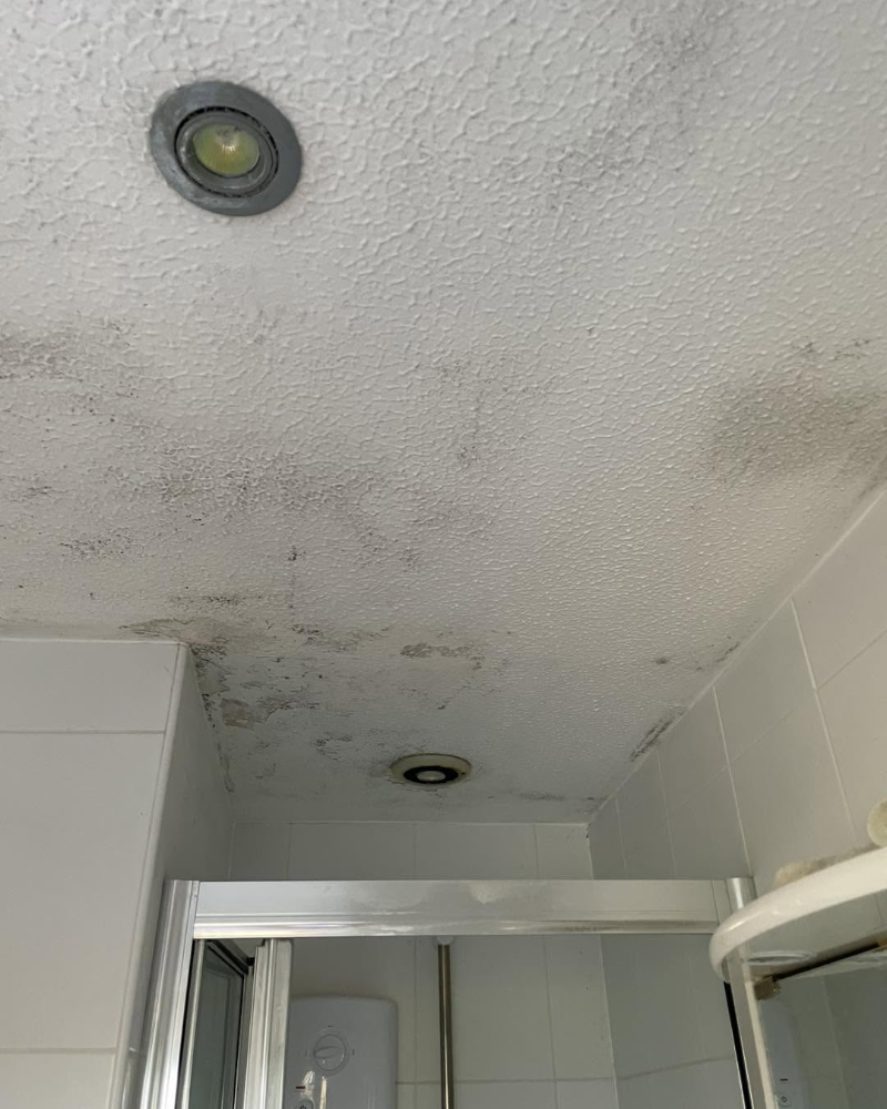 Before or after picture of work we have completed